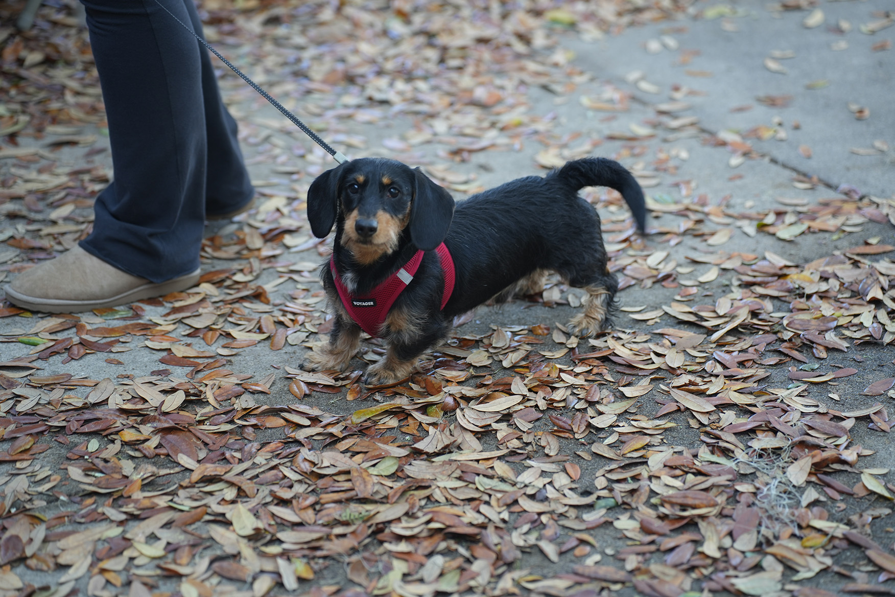 CCI Photo Album 15